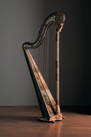 Single-action pedal harp (bèquilles system)