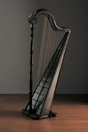 Diatonic Harp