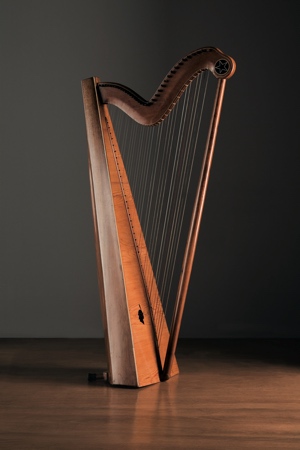 Diatonic Harp